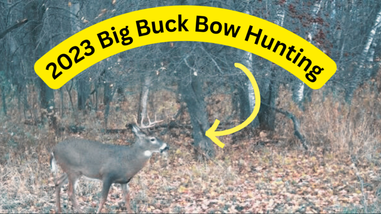 Minnesota Big Buck Bow Hutning