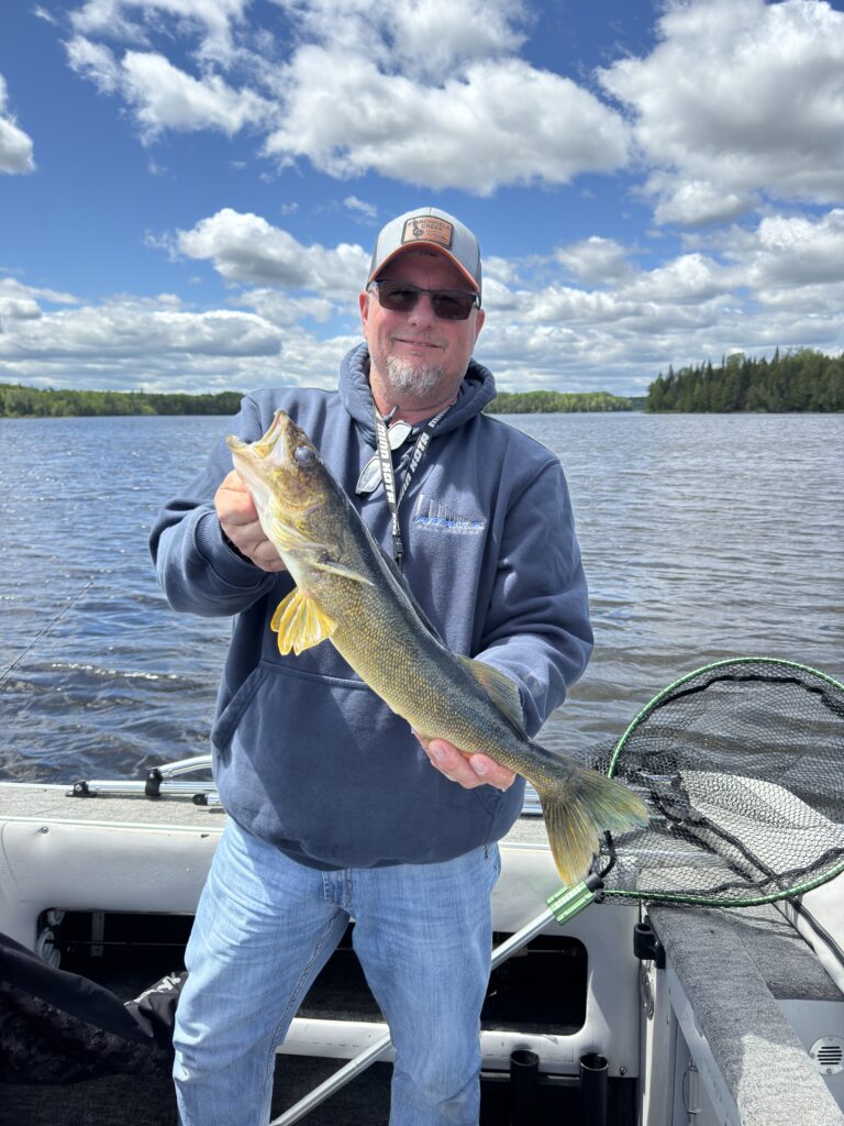 Nice walleye